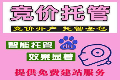 SEM竞价案例：如何实现精准广告投放